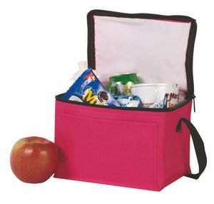 600 Denier 6-Can Cooler Bag